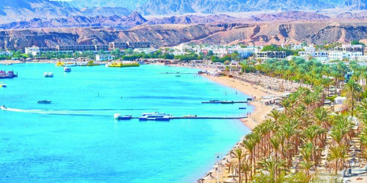 قبل ذهاب نهائى الكونفيدرالية: علاج نفسى فى الزمالك