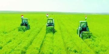 قبل ذهاب نهائى الكونفيدرالية: علاج نفسى فى الزمالك