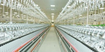 انتصارات «+90» ماركةمسجلةلـ«الأهلاوية»