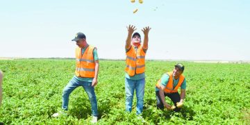 انتصارات «+90» ماركةمسجلةلـ«الأهلاوية»