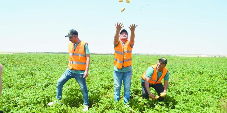 انتصارات «+90» ماركةمسجلةلـ«الأهلاوية»