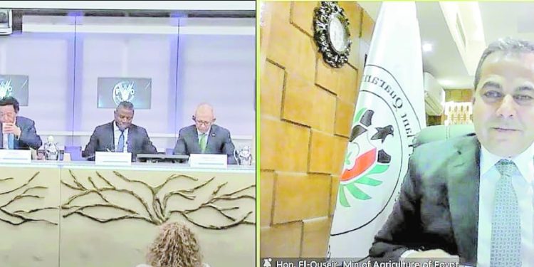 منظومة متطورة لضمان منتج زراعى عالى الجودة 1 - جريدة الجمهورية الأندية المصرية تطمع فى زيادة نصيبها من البطولات الأفريقية