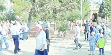 الأندية المصرية تطمع فى زيادة نصيبها من البطولات الأفريقية