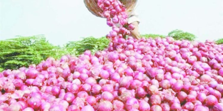 الأهلى يسعى لتجديد عقد معلول