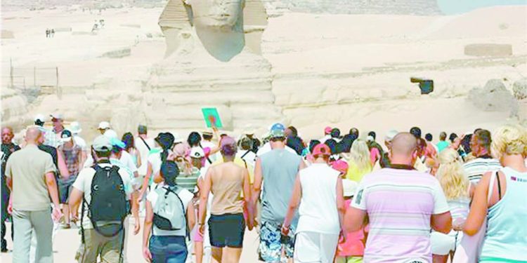 الأهلى يسعى لتجديد عقد معلول