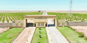 مليون تحية وسلام.. الأهلى محطم الأرقام