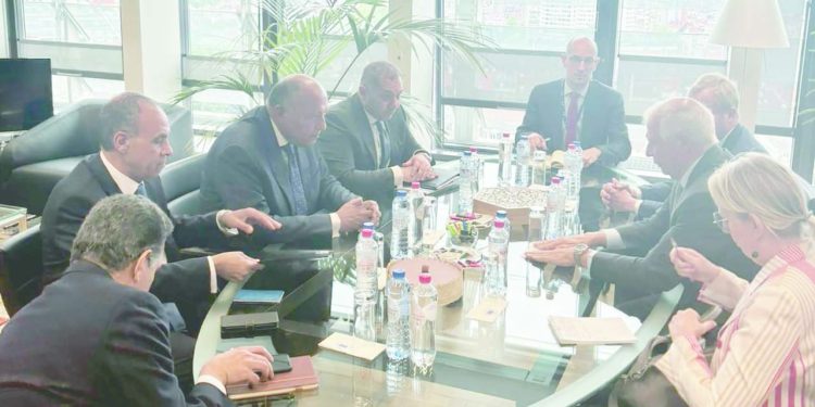 شكرى: ضرورة التوصل لوقف إطلاق النار فى غزة 1 - جريدة الجمهورية احتفالية «أهلاوية» لأبطال الأميرة الإفريقية