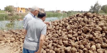 بفرمان من جوميز..«سامسون» يغادر الزمالك