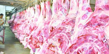 الزمالك يسدد غرامة روى أجواش.. ويخاطب «بو طيب»