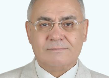 صلاح الحفناوى