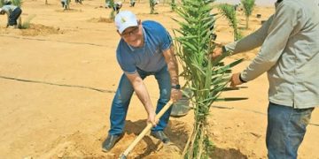 أحمـد أيـوب يكتب من توشكـى: أن تأكـل من ثمـار الصحـراء