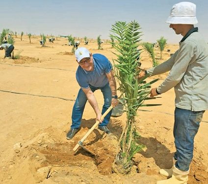 أحمـد أيـوب يكتب من توشكـى: أن تأكـل من ثمـار الصحـراء
