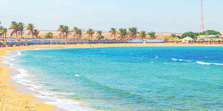 دقو الشماسي .. لاستقبال عيد الأضحى 1 - جريدة الجمهورية دقو الشماسي .. لاستقبال عيد الأضحى