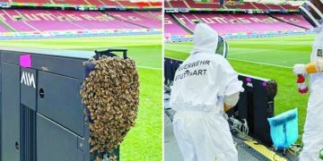 هجوم النحل .. يشعل مدرجات اليورو