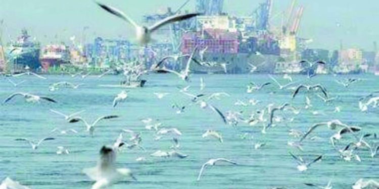 فىيومها العالمى: حراس البيئة 1 - جريدة الجمهورية 8 ملايين دولار للموافقة شروط «أهلاوية» لرحيل «عاشور»