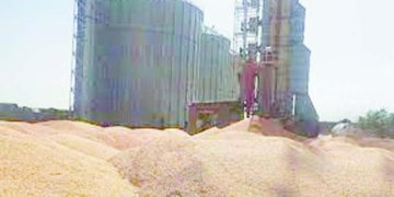 «معلول» يربك حسابات الأهلى