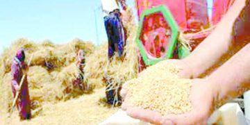 «كاف» يضع الدورى فى ورطة جديدة