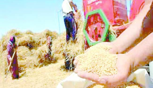 «كاف» يضع الدورى فى ورطة جديدة