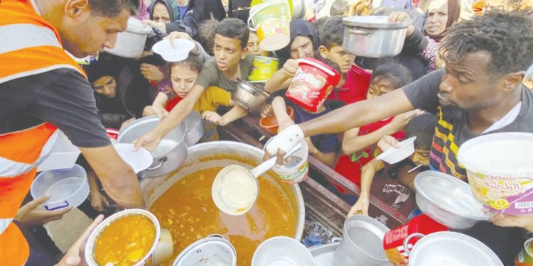 فيوتشر يستعد بقوة لاختراق المربع الذهبى