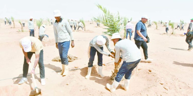 فيوتشر يستعد بقوة لاختراق المربع الذهبى