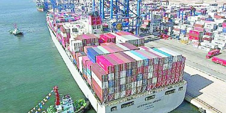 ضربات قوية لـ«ميكالى الأولمبى»