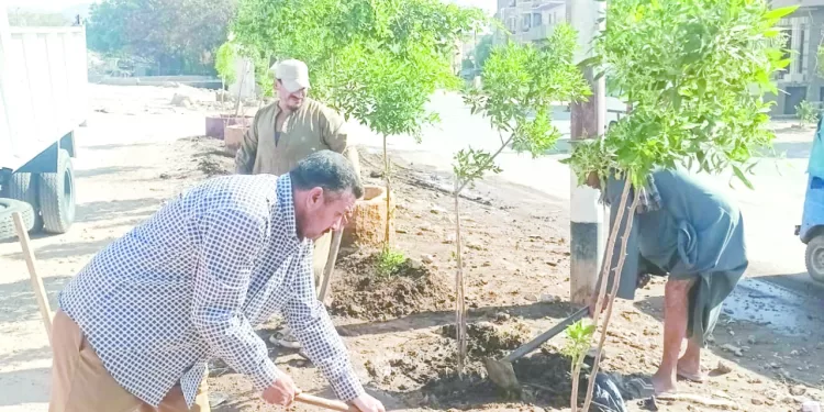 التنمية المحلية ترفع شعار: «حل شكاوى المواطنين ميدانيًا»