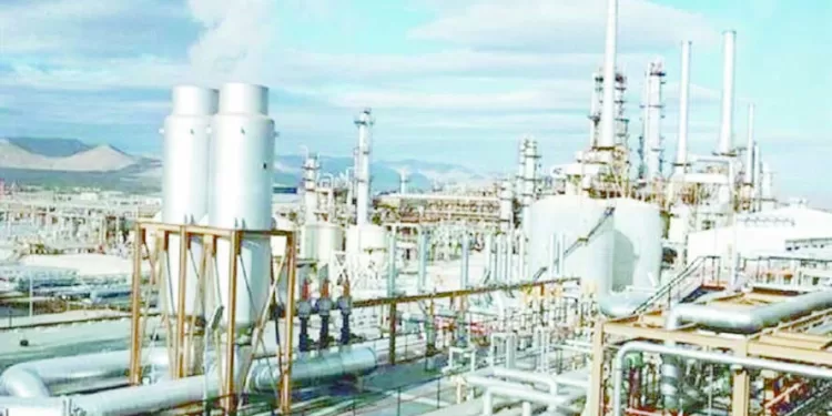 القطاع الخاص رهان الحكومة.. لتنمية الصناعة وزيادة الصادرات 1 - جريدة الجمهورية ميكالى راض عن أداء منتخبنا الأولمبى