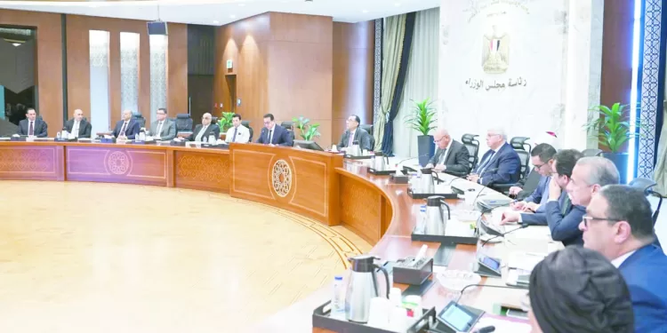 الزمالك يرفض الراحة.. ويستعد لبروكسى فى الكأس