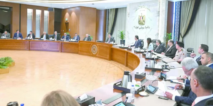 الزمالك يرفض الراحة.. ويستعد لبروكسى فى الكأس