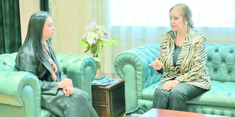 الزمالك يرفض الراحة.. ويستعد لبروكسى فى الكأس