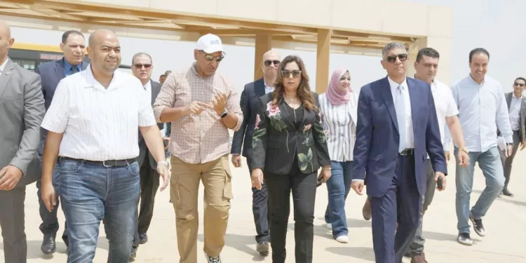 الزمالك يواجه المقاولون «الجريح»