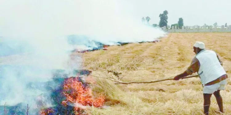 «الفراعنة» فى الصدارة بجدارة
