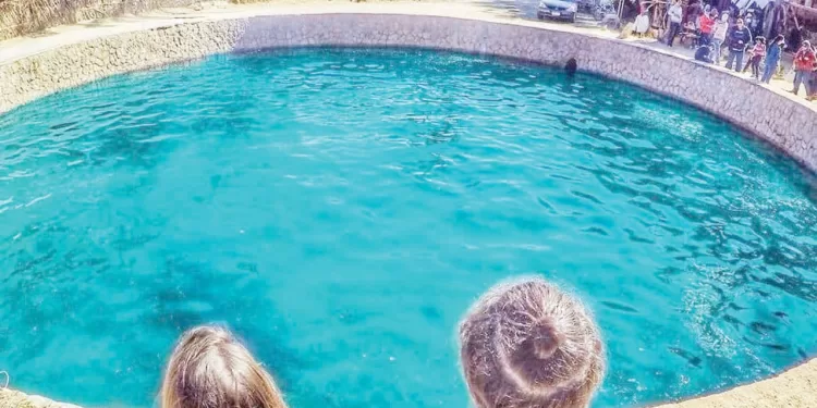 جماهير المصرى.. «غضبانة»