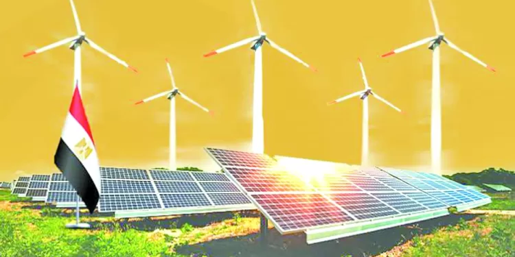 جماهير المصرى.. «غضبانة»