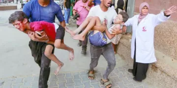 جماهير المصرى.. «غضبانة»