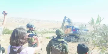 عودة إطلاق الصواريخ من القطاع.. والاحتلال يواصل اغتيال قيادات حماس 5 - جريدة الجمهورية صبحى: بقاء ميكالى.. ضرورى