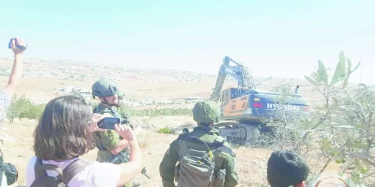 عودة إطلاق الصواريخ من القطاع.. والاحتلال يواصل اغتيال قيادات حماس 1 - جريدة الجمهورية صبحى: بقاء ميكالى.. ضرورى