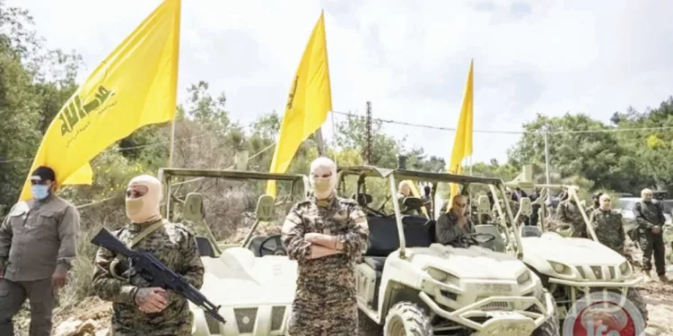 حيرة فى الزمالك بسبب «زيزو»