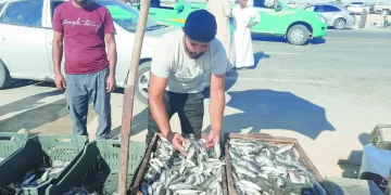 حيرة فى الزمالك بسبب «زيزو»