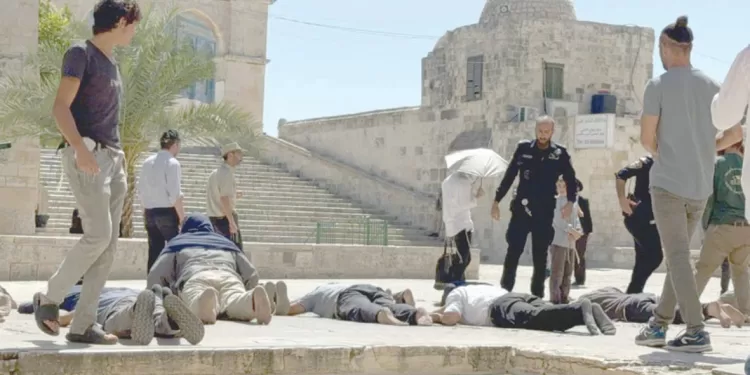 الزمالك يستضيف الطلائع .. بالدورى