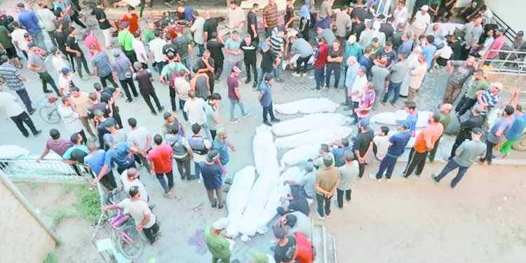 «البارالمبية» تكشف تفاصيل المشاركة فى باريس 2024