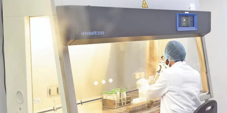 جوميز مستمر.. ويحلم بمبابى !!