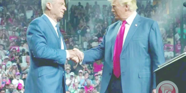 54 لاعباً مصرياً جاهزون للمنافسة فى 10 ألعاب بدورة البارالمبية