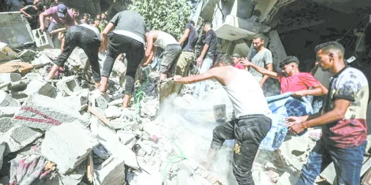 استمرار النزوح يزيد الأوضاع الإنسانية فى غزة سوءًا 1 - جريدة الجمهورية مدافع «الأبيض».. مطلوب فى الجونة