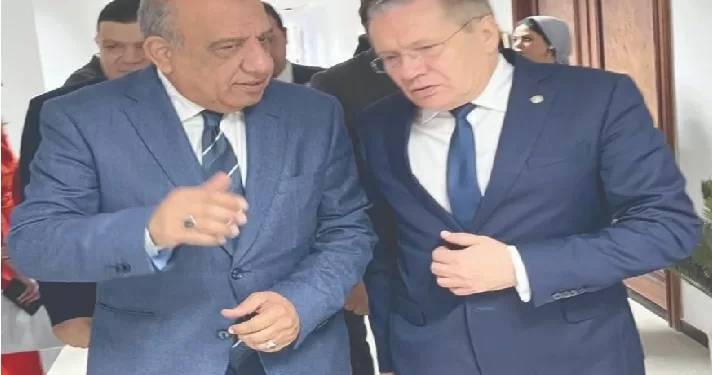 وزير الكهرباء: القيادة السياسية حريصة على متابعة المشروع.. يوميًا