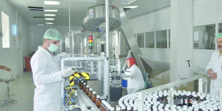 نائبا رئيس الوزراء: توطين صناعة الدواء لصالح المواطن