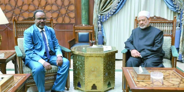 الإمام الأكبر: الأزهر يدعم تعلم العربية: فى دول أفريقيا.. لتصل لدرجة الرسمية