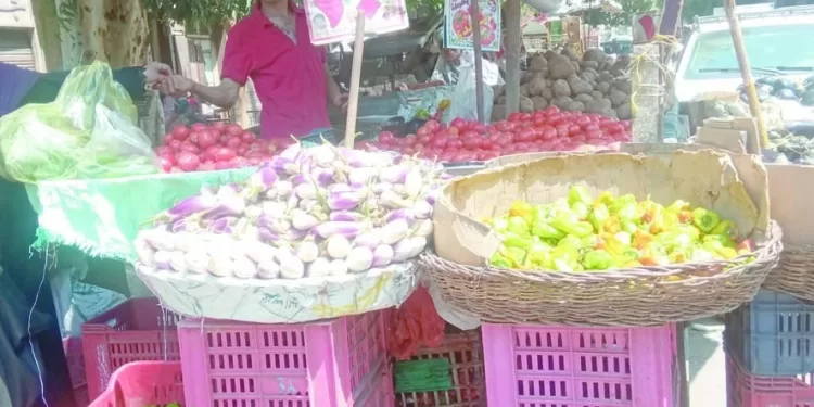 الممارسات الخاطئة لكبار التجار.. سبب رفع أسعار البطاطستراجع أسعار الخضراوات.. الشهر المقبل