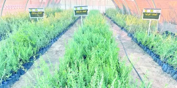 وزير الزراعة يؤكد اهتمام القيادة السياسية بتنمية أرض الفيروز