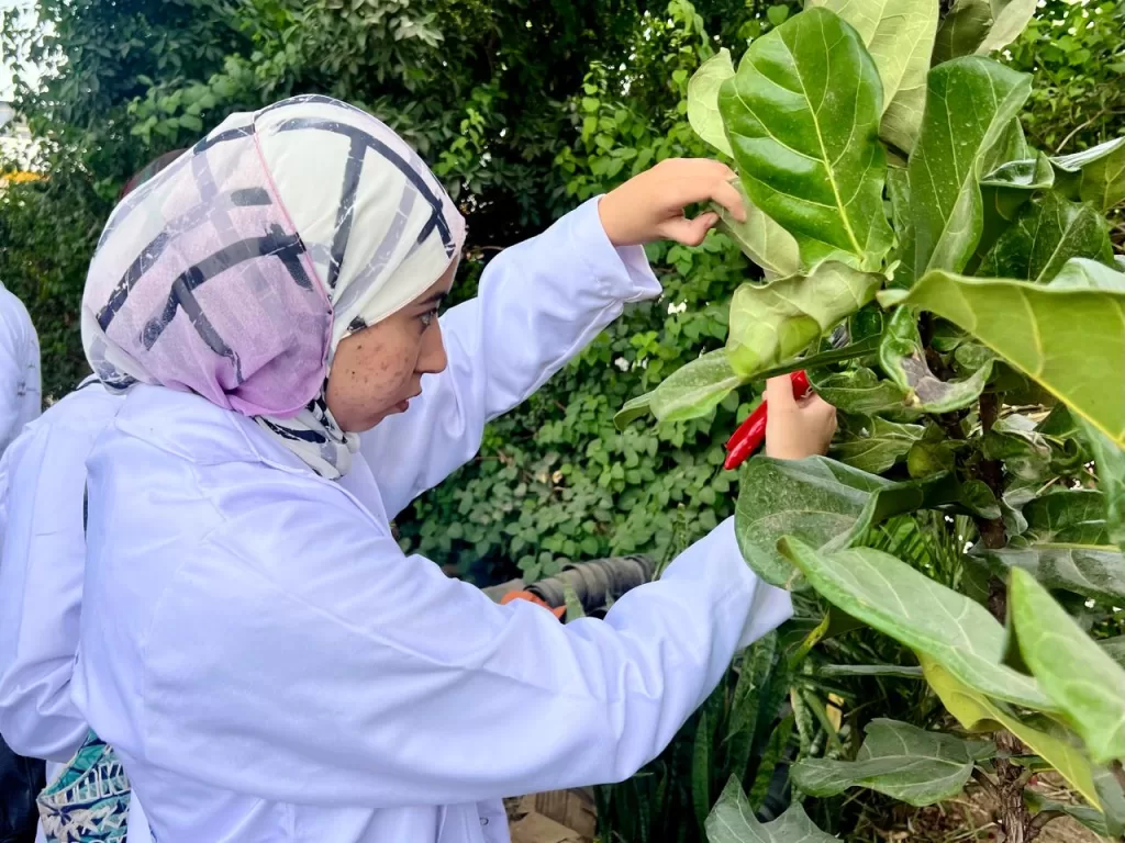 «الأغذية العالمي» يدعم مبادرات جديدة لتمكين الشباب المصري الباحث عن عمل 6 | جريدة الجمهورية